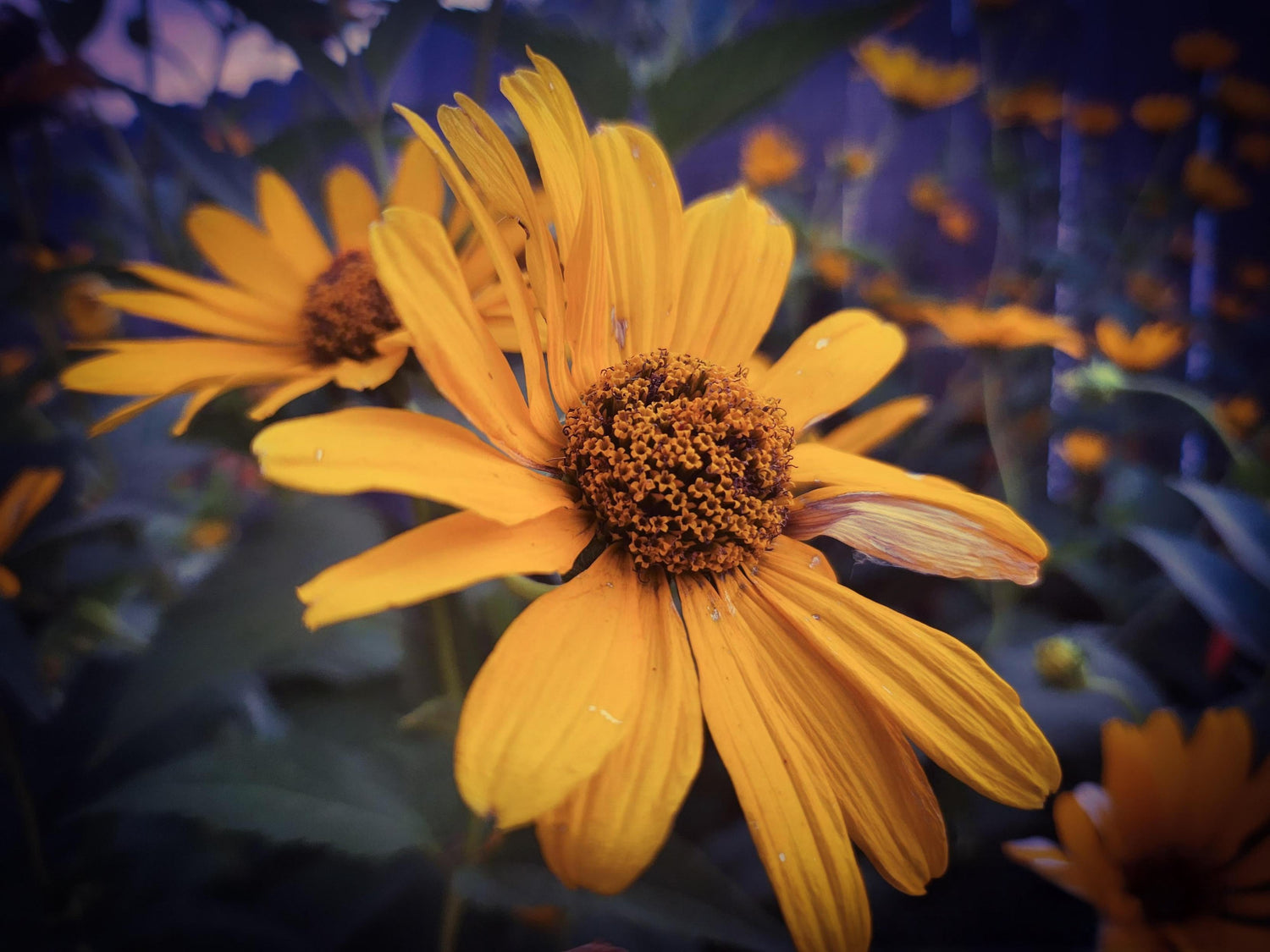 'Where the Sun Sleeps' - Luke Castaneda